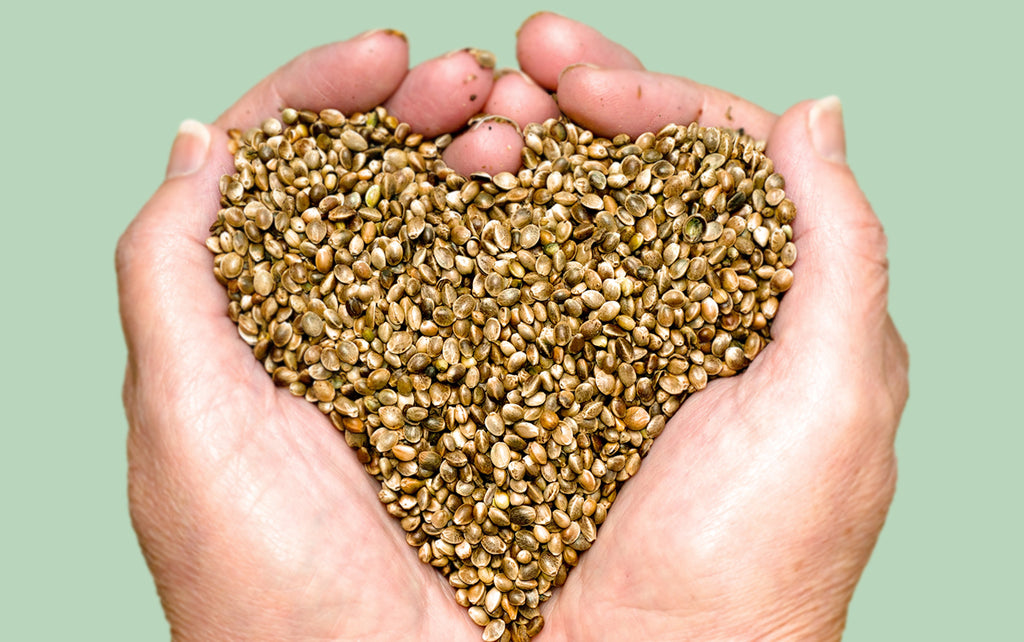 Reap the Beauty Benefits of Hemp Seed